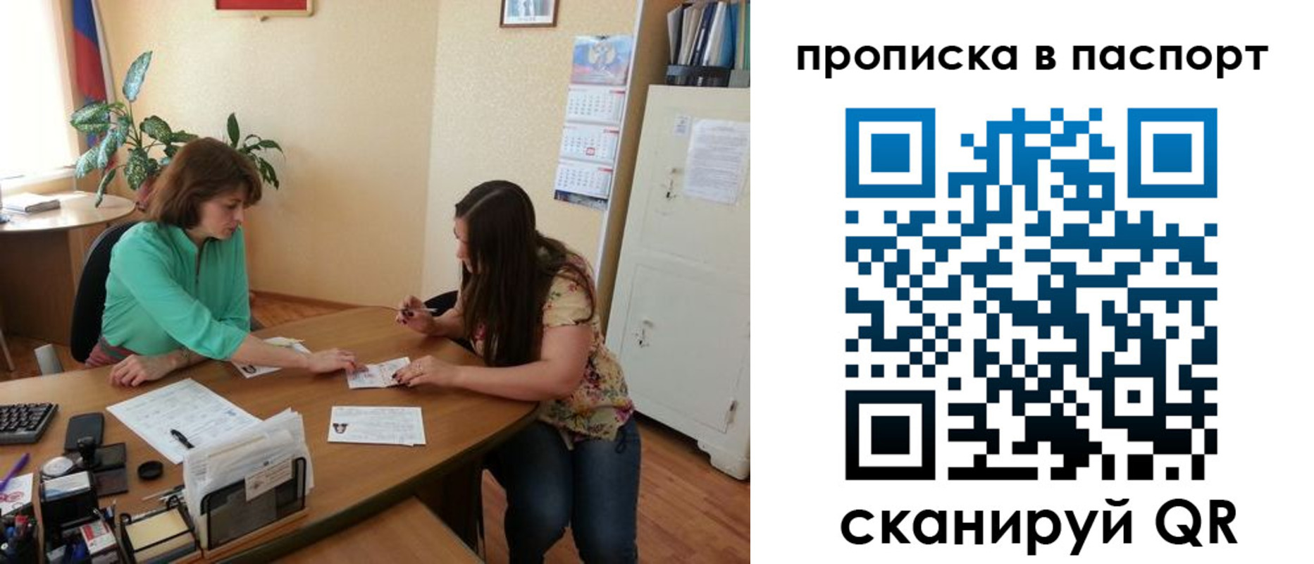 прописка поиск в Невеле